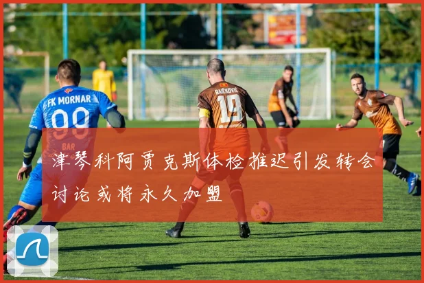 津琴科阿贾克斯体检推迟引发转会讨论或将永久加盟